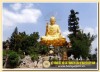 Thien su van hanh 09