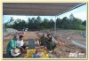 SAN PHẲNG MỘ VỢ VUA TỰ ĐỨC LÀM BÃI ĐẬU XE: TRƯỞNG BAN TUYÊN GIÁO TỈNH ỦY LÊN TIẾNG